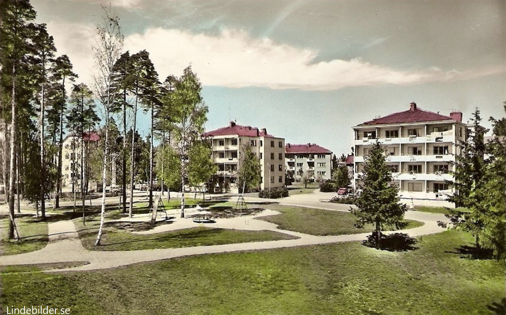 Kumla, Parti av Prästgårdsskogen 1963