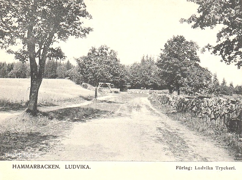 Hammarbacken. Ludvika 1906