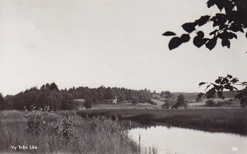 Vy från Löa 1956