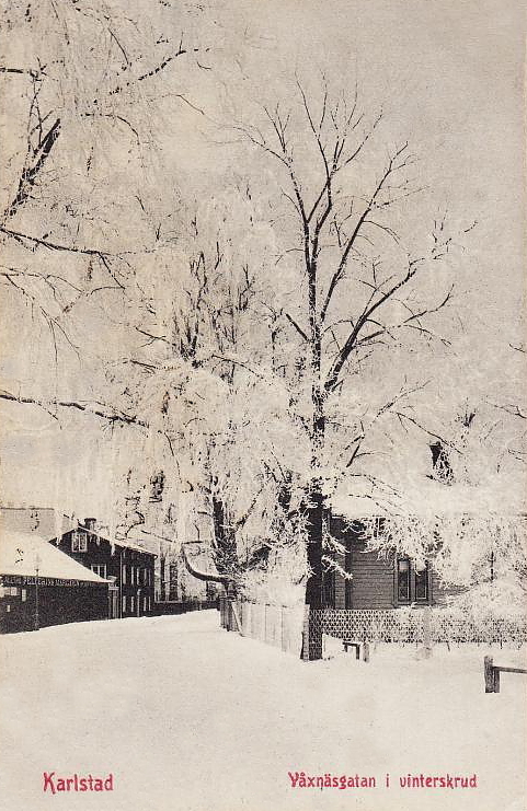 Karlstad, Våxnäsgatan i Vinterskrud 1907