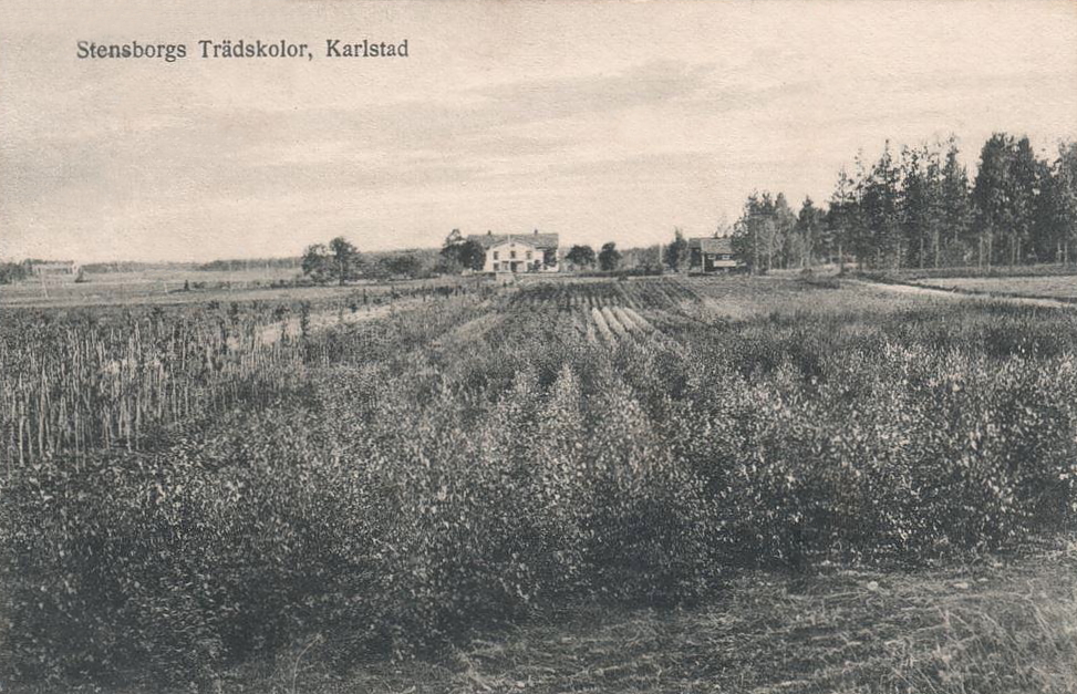 Stensborgs Trädskolor, Karlstad