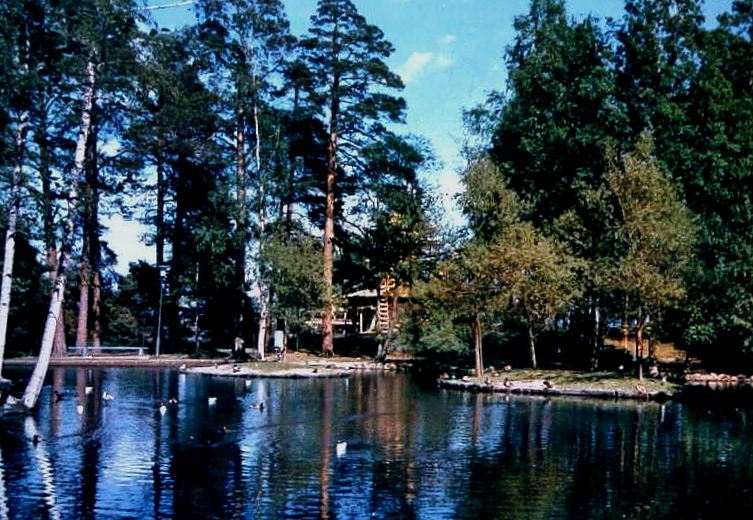 Karlstad Mariebergsskogen