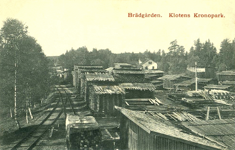 Brädgård, Klotens Kronopark 1910