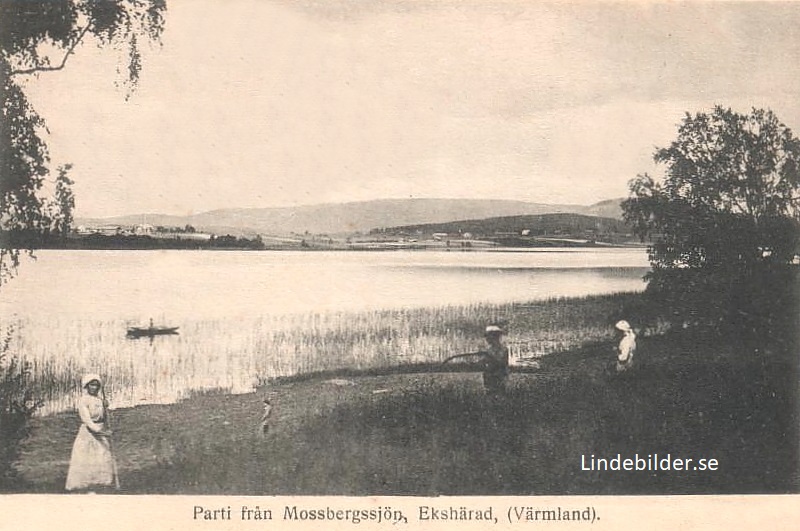 Hagfors, Parti från Mossbergssjön, Ekshärad, Värmland