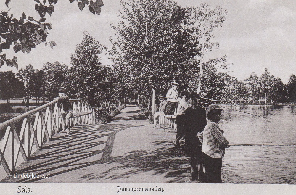 Sala, Dammpromenaden 1903