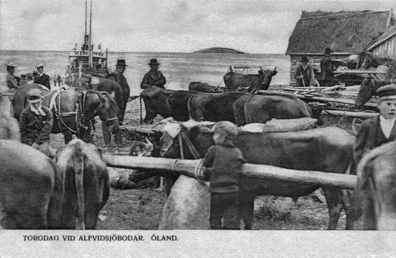 Öland, Torgdag vid Alfvidsjöbodar 1905