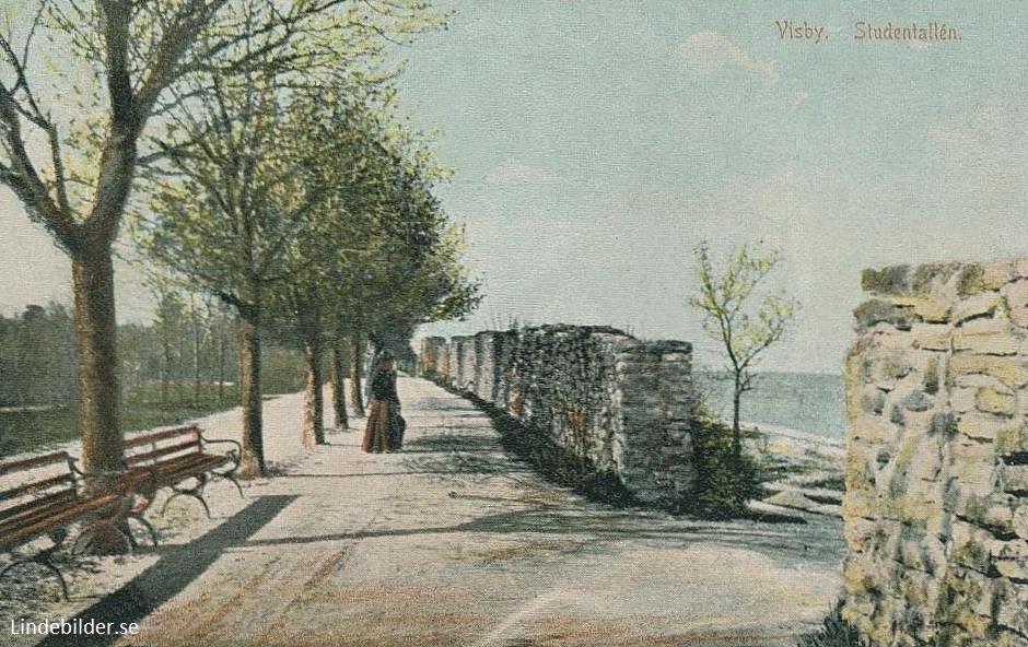 Gotland, Visby Studentallen   1910