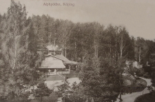 Köping, Alphyddan 1905