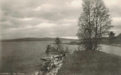Ludvika, Sjön Vässman