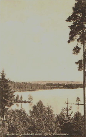 Ludvika, Utsikt över sjön Wässman