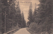 Skogsväg vid Ludvika