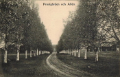 Borlänge, Stora Tuna Prostgården och Allen 1906