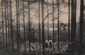 Kristinehamn, Hälsning från Björnkällan 1910