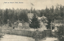 Köping, Kolsva, Parti av Folkets Park 1920
