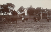Hallstahammar, Strömsholm, Hästparad 1910