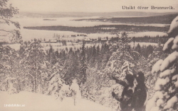 Utsikt öfver Brunnsvik