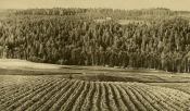 Kopparberg, Bångbrodalen 1939