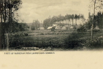 Askersund, Parti af Mariedam från landsvägen Söderut 1902