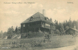Professor Mittag-Lefflers villa. Tällgården, Tällberg