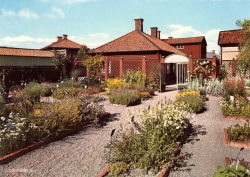 Örtagården, Gamla Linköping 1970