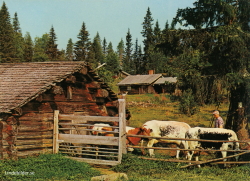 Orsa, Dalarna 1983