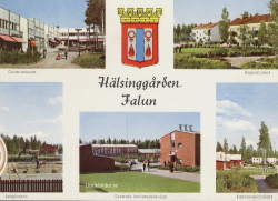 Hälsinggården, Falun