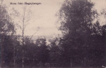 Nora från Hagbyberget 1912