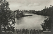 Åparti, Lindesberg 1929