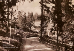 Karlskoga Folkets Park  1955