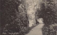 Sala, Svarta Grafven 1914