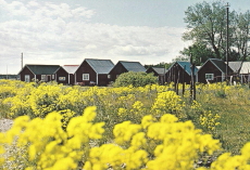 Gotland, Ljugarn Fiskebodar