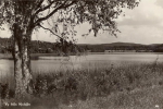 Vy från Hjulsjön 1959