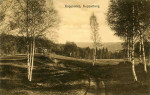 Kopparberg Kapplatorp 1919