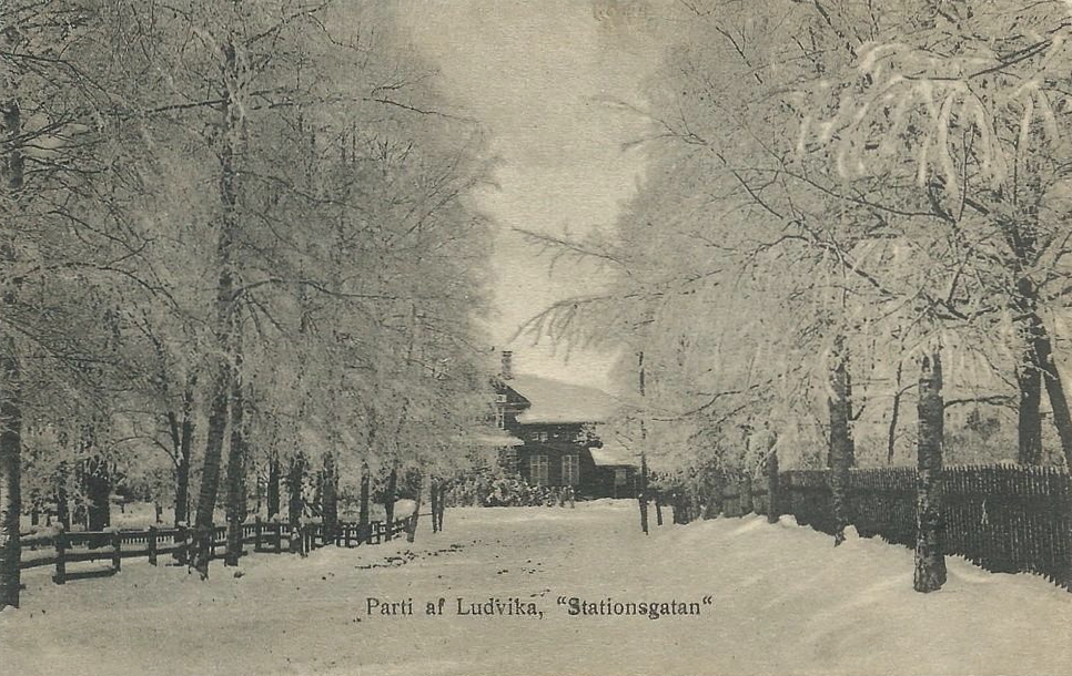 Parti af Ludvika, Stationsgatan 1924
