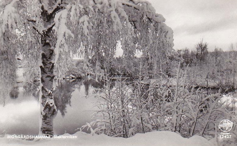 Smedjebacken, Morgårdshammar, Slaktarviken  1955