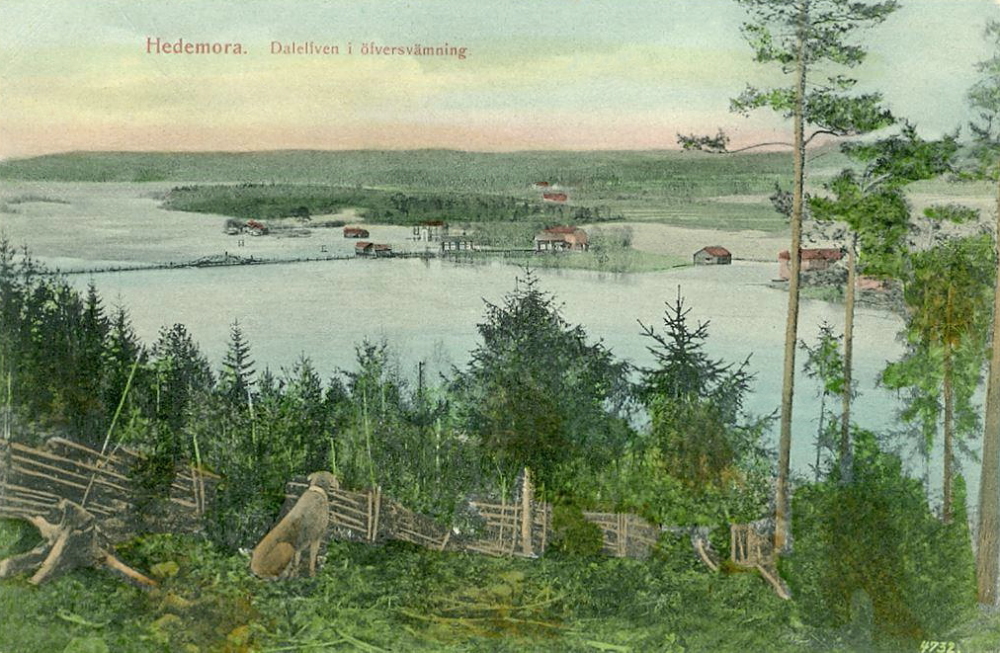 Hedemora, Dalelfven i Öfversvämning 1910