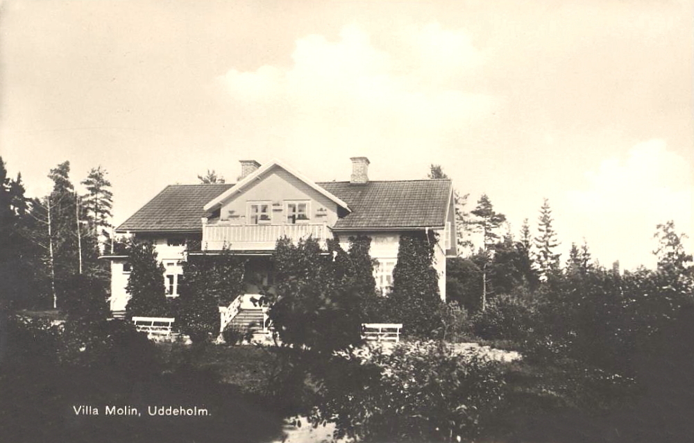 Hagfors. Villa Molin, Uddeholm