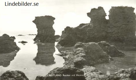Gotland. Raukar vid Hamra