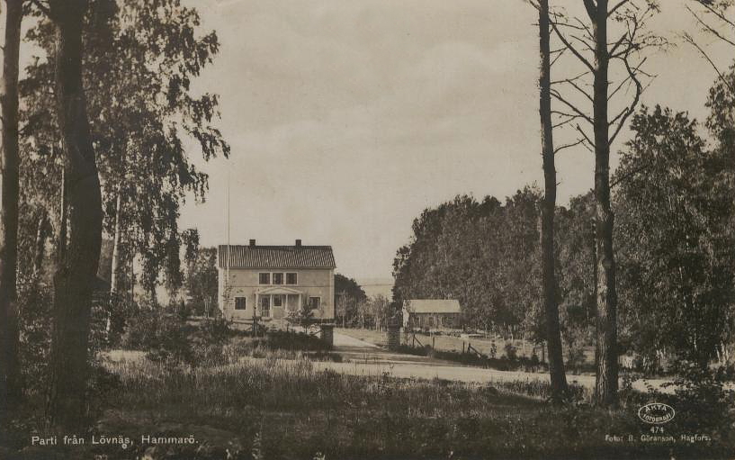 Parti från Lövnäs, Hammarö