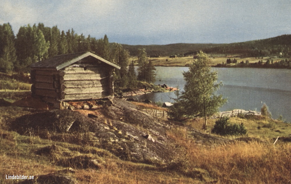 Parti från Värmland sjön Rotten 1954