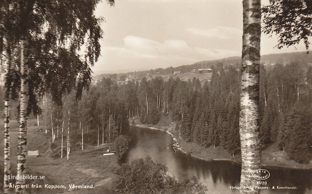 Älvparti från Koppom, Värmland