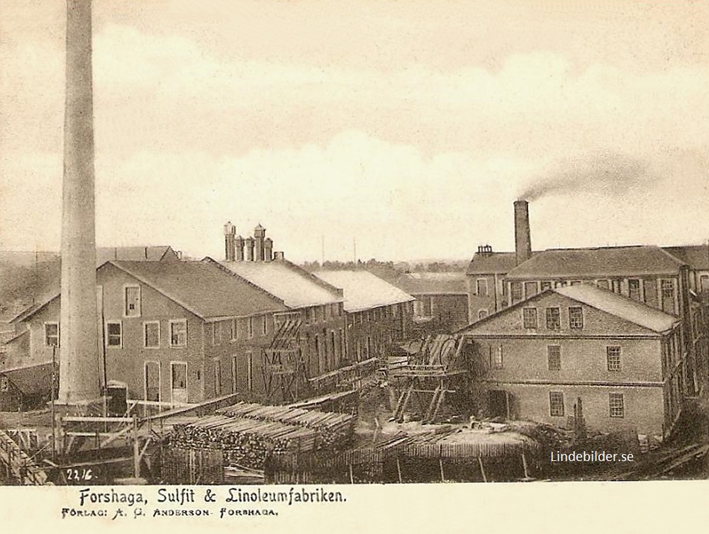 Forshaga. Sulfit & Linoleumfabriken 1905