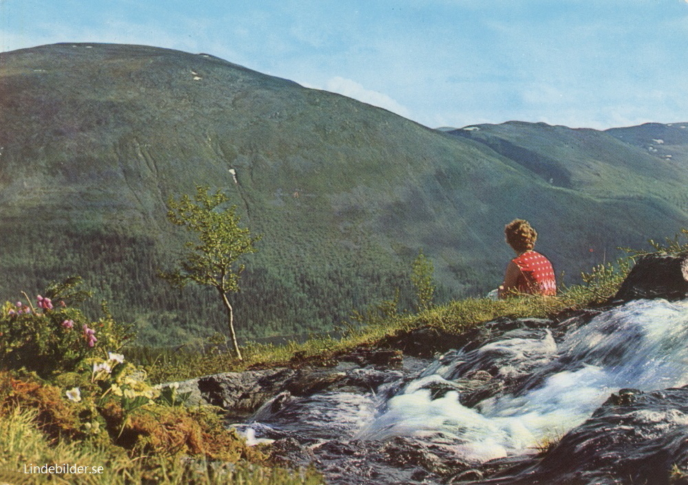 Bydalen utsikt från Vesterfjellet mot Drommen