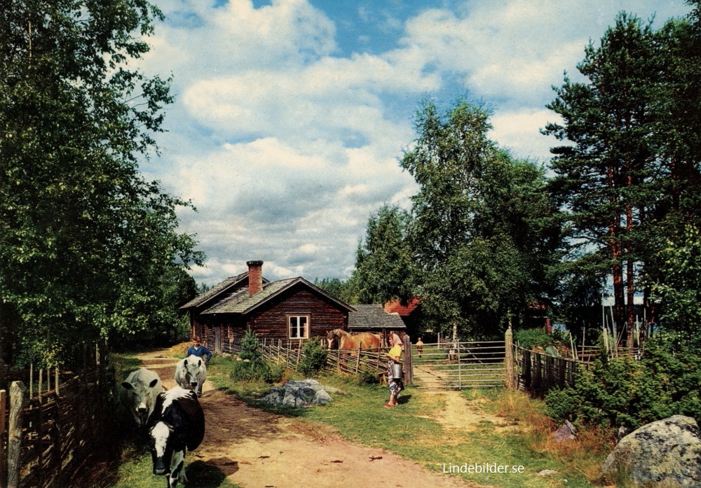 Dalarna, Sweden, Fäboliv 1967