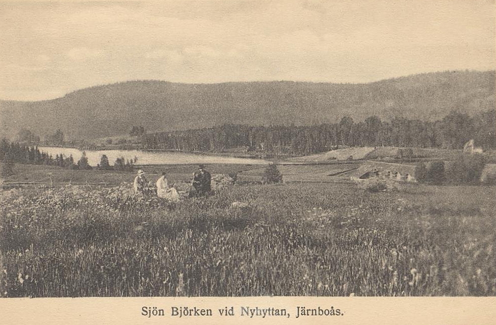 Sjön Björken vid Nyhyttan, Järnboås
