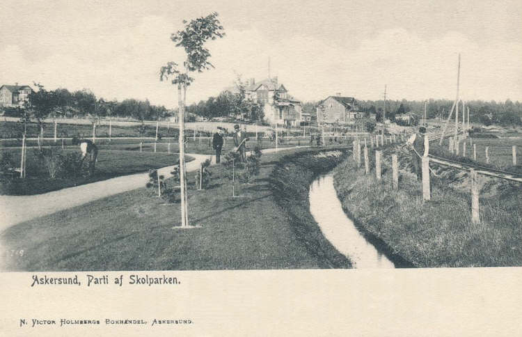 Askersund, Parti Af Skolparken 1908