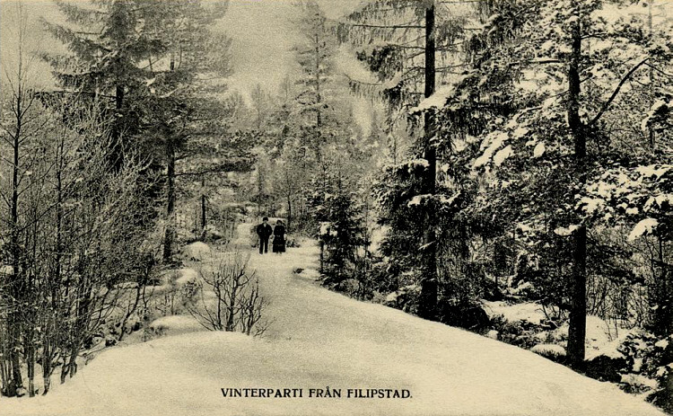 Vinterparti från Filipstad 1906