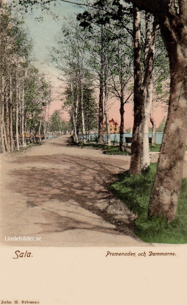 Sala. Promenaden och Dammarne 1906