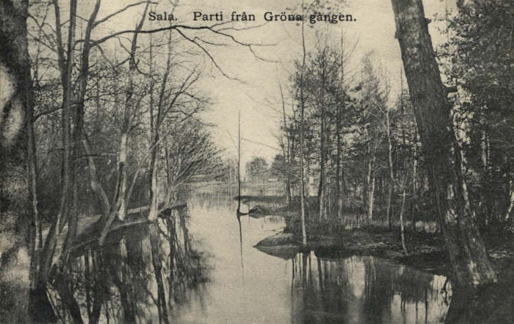 Sala, Parti från Gröna Gången 1907