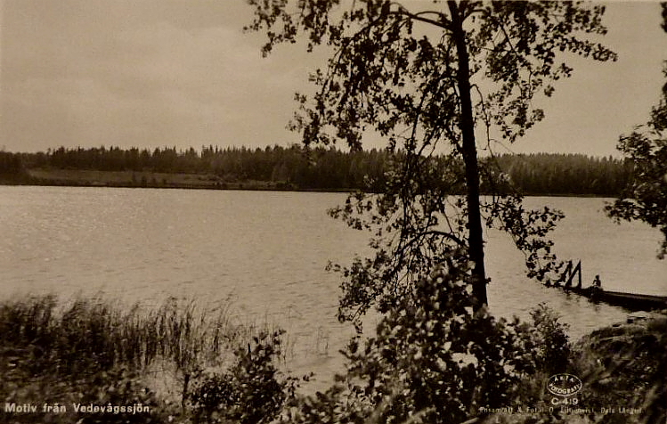 Motiv från Vedevågssjön 1956